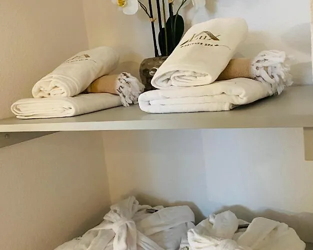 Private Lux With Whirlpool And Sauna In