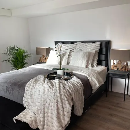 Private Lux With Whirlpool And Sauna In